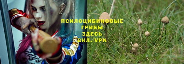 мет Слюдянка