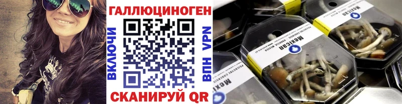 Галлюциногенные грибы Psilocybe  закладки  mega сайт  Валдай 